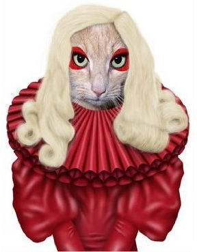 lady-gaga-cat-card